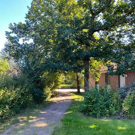 Familienunterkunft Wiesengefluester E8 - Strandnah Mit Sauna Und Garten بيت للعطل