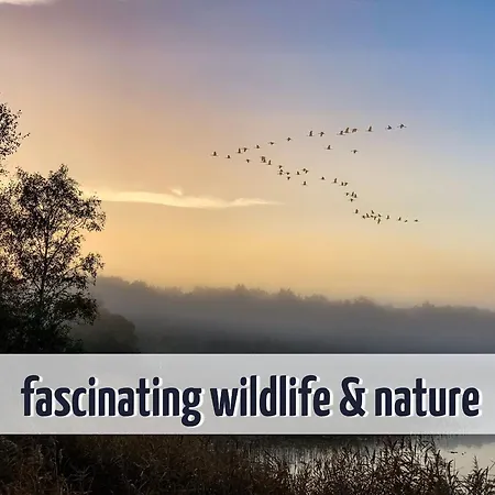 Familienunterkunft Wiesengefluester E8 - Strandnah Mit Sauna Und Garten * Röbel