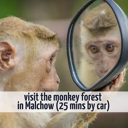 Familienunterkunft Wiesengefluester E8 - Strandnah Mit Sauna Und Garten