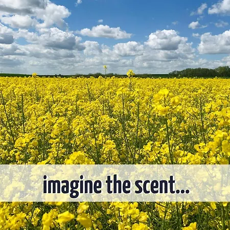 בית נופש Familienunterkunft Wiesengefluester E8 - Strandnah Mit Sauna Und Garten Röbel