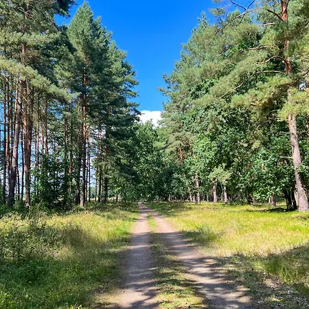 Familienunterkunft Wiesengefluester E8 - Strandnah Mit Sauna Und Garten Holiday home Robel