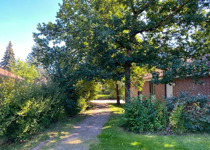 Familienunterkunft Wiesengefluester E8 - Strandnah Mit Sauna Und Garten Holiday home